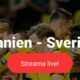 Sverige Spanien free live stream - streama EM 2021 live online!